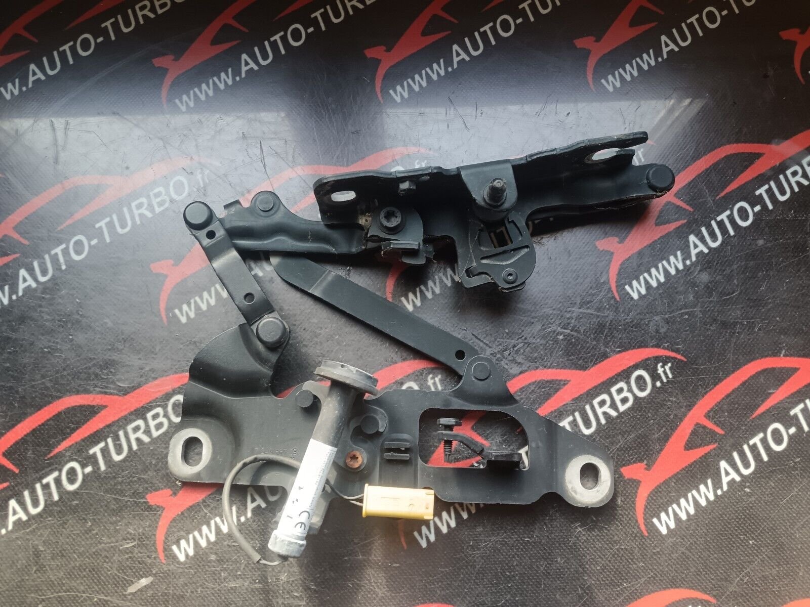 CHARNIERE CAPOT GAUCHE BMW SERIE 5 F10 REFERENCE: 7249887