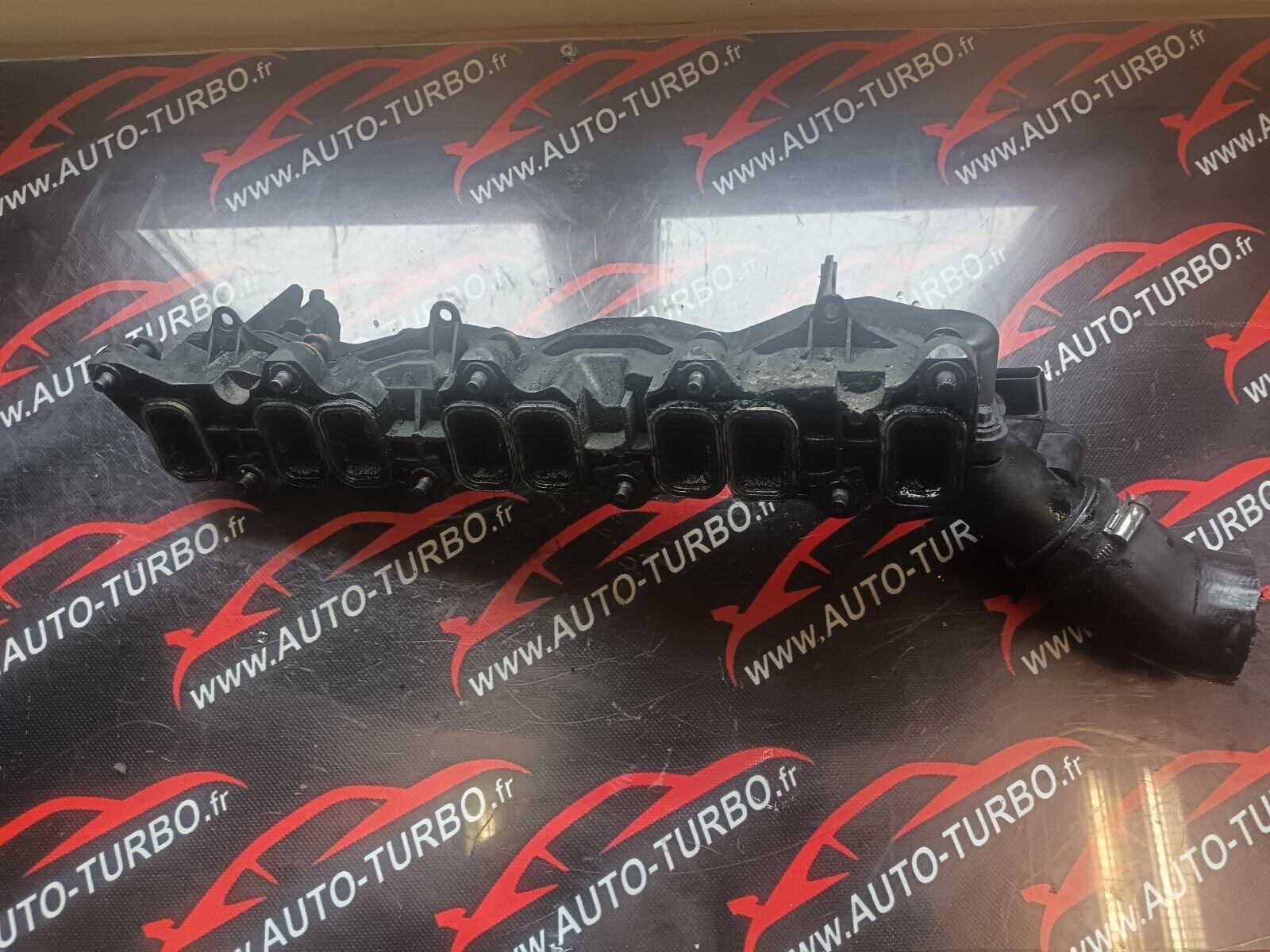 COLCTEUR ADMISSION BOXER JUMPER DUCATO REFERENCE: 2S709424